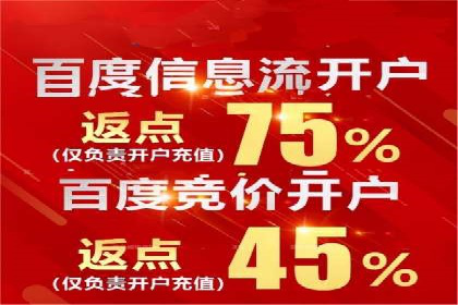 百度竞价推广的优化策略：一家科技公司的成功经验